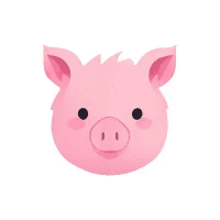 Mybucks.online airdrop logo - zkSync crypto token